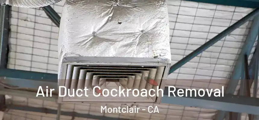  Air Duct Cockroach Removal Montclair - CA