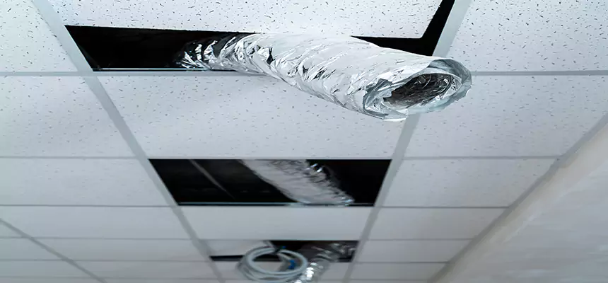 Our Air Duct Pet Hair Removal Services in Montclair, CA