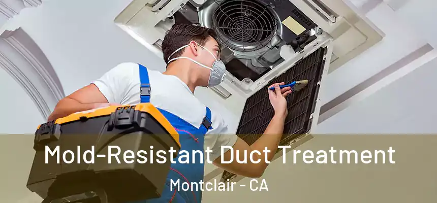  Mold-Resistant Duct Treatment Montclair - CA