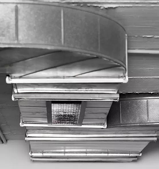 Professional Air Duct Pest Removal in Montclair, CA