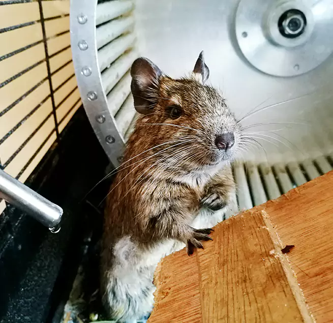 Why Homeowners & Businesses Trust Us Montclair, CA